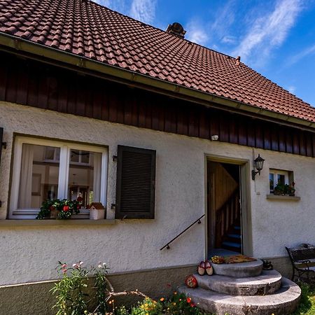 Gartenferienhaus "Annaluise" Schonau im Schwarzwald Luaran gambar