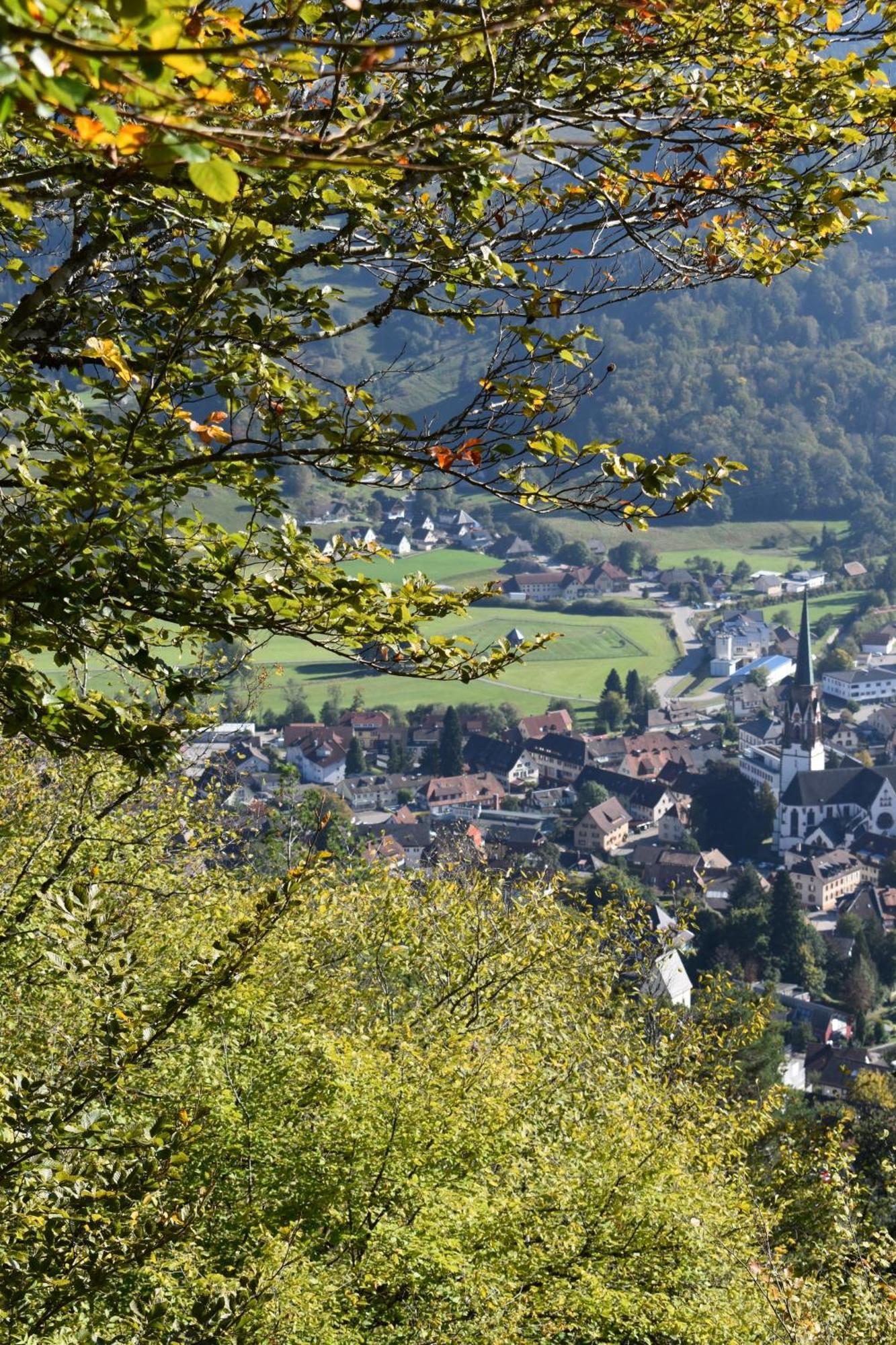 Gartenferienhaus "Annaluise" Schonau im Schwarzwald Luaran gambar