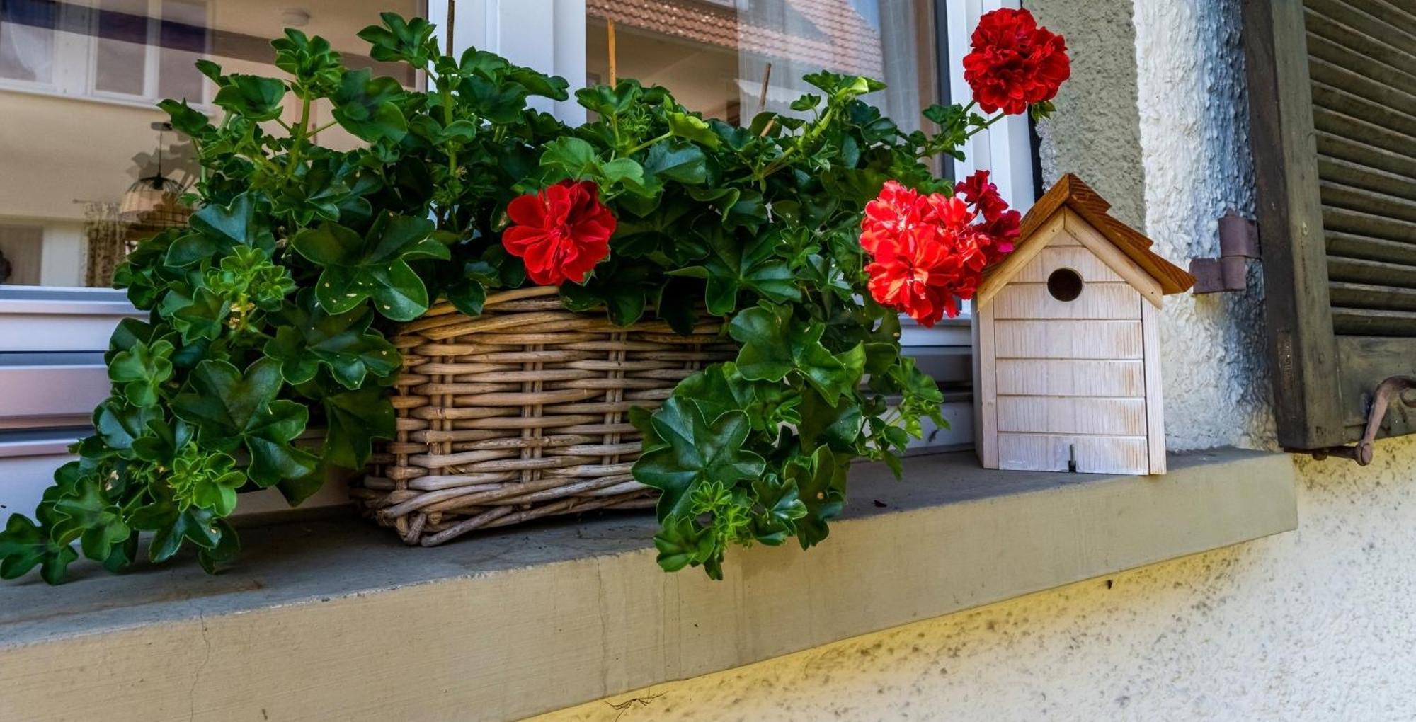Gartenferienhaus "Annaluise" Schonau im Schwarzwald Luaran gambar