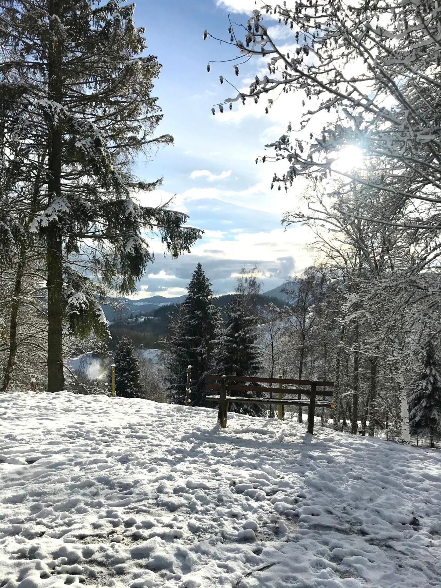 Gartenferienhaus "Annaluise" Schonau im Schwarzwald Luaran gambar